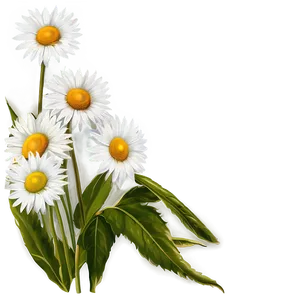 Daisies Bouquet Png Xfi PNG Image