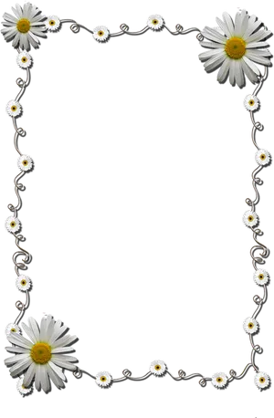 Daisy Chain Photo Frame PNG Image