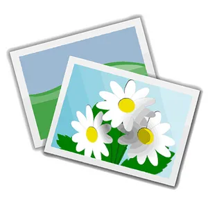 Daisy Flower Photo Icons PNG Image