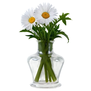 Daisy Flowers In Vase Png 06272024 PNG Image