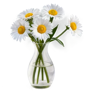 Daisy Flowers In Vase Png Ayq83 PNG Image