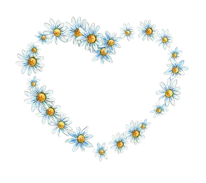Daisy Heart Formation Black Background PNG