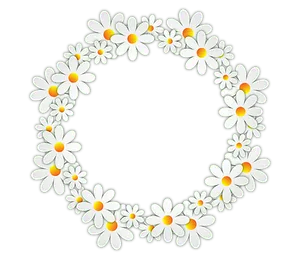 Daisy_ Wreath_on_ Black_ Background PNG
