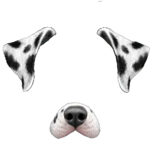 Dalmatian Dog Filter Elements PNG Image