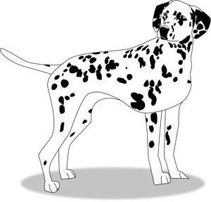 Dalmatian Dog Illustration PNG Image