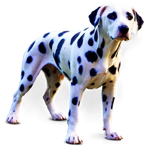 Dalmatian Spots D PNG Image