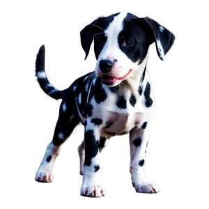 Dalmatian Spots Mobile Wallpaper Png 42 PNG Image