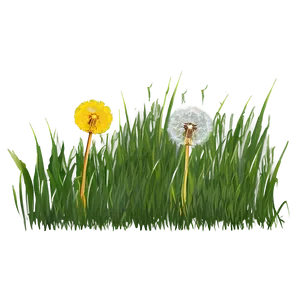 Dandelion In Grass Png 4 PNG Image