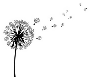 Dandelion Seeds Blowingin Wind PNG Image