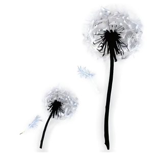 Dandelion Silhouette Png Kcp81 PNG Image