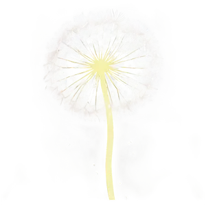 Dandelion Wishes Png Pqp PNG Image