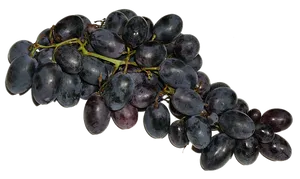 Dark Black Grapes Cluster PNG Image