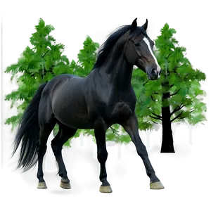 Dark Black Horse In Forest Png Xna40 PNG Image