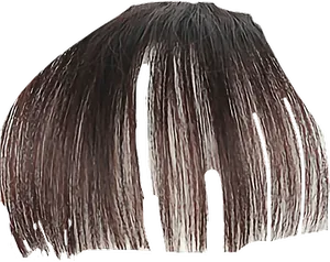 Dark Brown Hair Bangs Texture PNG Image