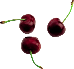 Dark Cherries Against Black Background PNG Image