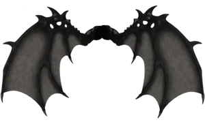 Dark Demon Wings PNG Image