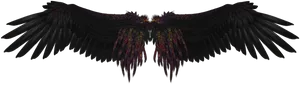 Dark Feathered Angel Wings PNG Image