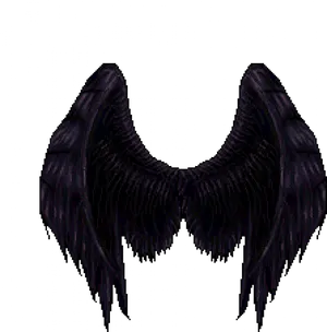 Dark_ Feathered_ Wings_ Artwork PNG Image