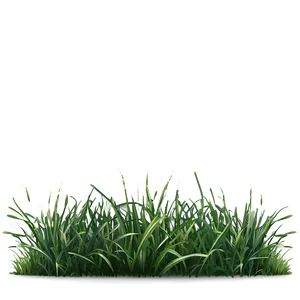 Dark Green Grass Png 06262024 PNG Image