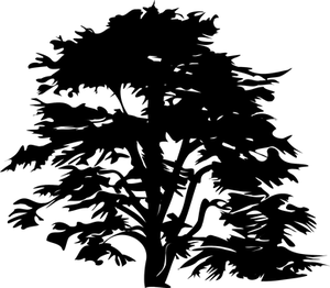 Dark Silhouette Trees Against Sky PNG