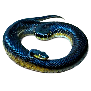 Dark Snake Tattoo Design Png 90 PNG Image