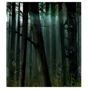 Dark Spooky Woods Png 5 PNG Image