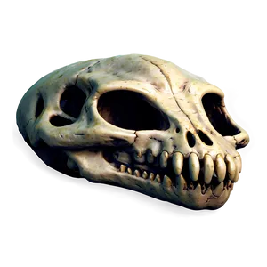 Dead Dragon Skull Png Phd PNG Image