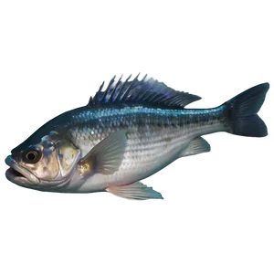 Dead Fish Aesthetic Png Psu99 PNG Image