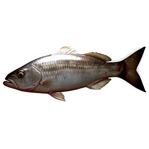 Dead Fish Icon Png 73 PNG Image