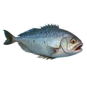 Dead Fish On Beach Png 88 PNG Image