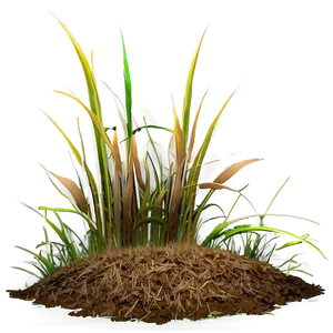 Dead Grass A PNG Image