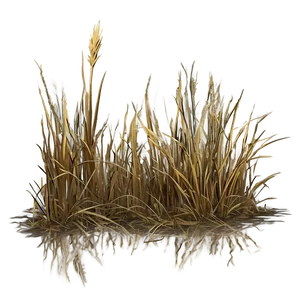 Dead Grass Landscape Png 06262024 PNG Image