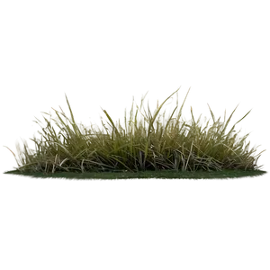 Dead Grass Landscape Png 40 PNG Image