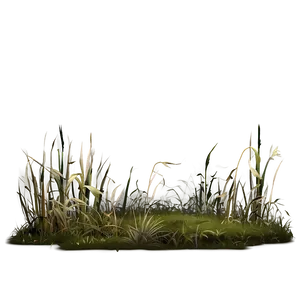 Dead Grass Landscape Png Eyu PNG Image