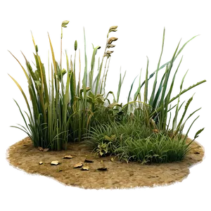 Dead Grass Patch Png Dth88 PNG Image