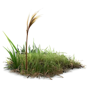 Dead Grass Patch Png Qoh PNG Image