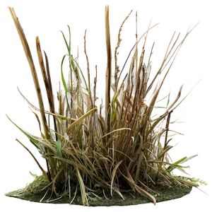 Dead Grass Underfoot Png Sov35 PNG Image