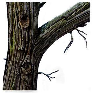 Dead Tree Branch Png 87 PNG Image