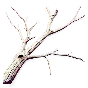 Dead Tree Branch Png Edc PNG Image