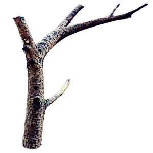 Dead Tree Branch Png Fpc PNG Image