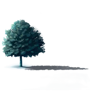 Deciduous Tree Shadow Png Wju PNG Image