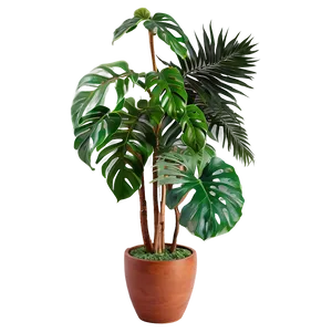 Decorative Floor Plant Png 06282024 PNG Image