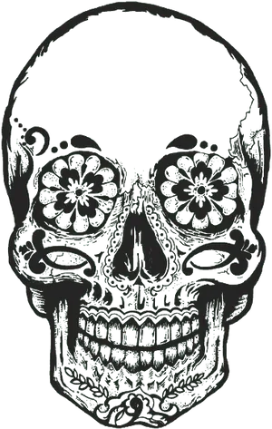 Decorative Floral Skull Art PNG Image