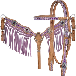 Decorative Horse Bridlewith Fringeand Gems PNG Image