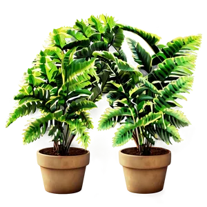 Decorative Potted Ferns Png Isr PNG Image