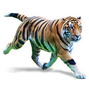 Deep Jungle Animal Chase Png Kkl PNG Image