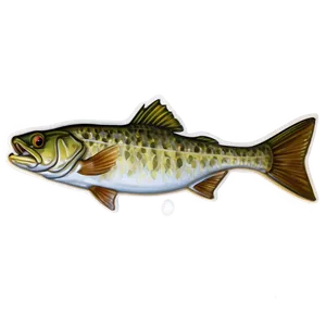 Delaware River Fishing Png Kvo PNG Image