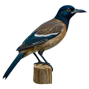 Delaware State Bird Png Gqc PNG Image