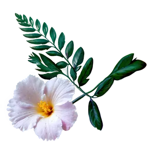 Delicate Floral Png Jic17 PNG Image