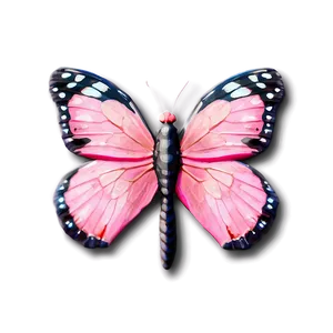 Delicate Pink Butterfly Picture Png 06212024 PNG Image